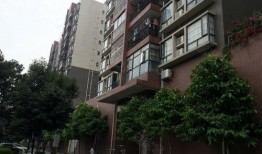 千居房产爆料事件真相视频,揭秘背后真相与内幕